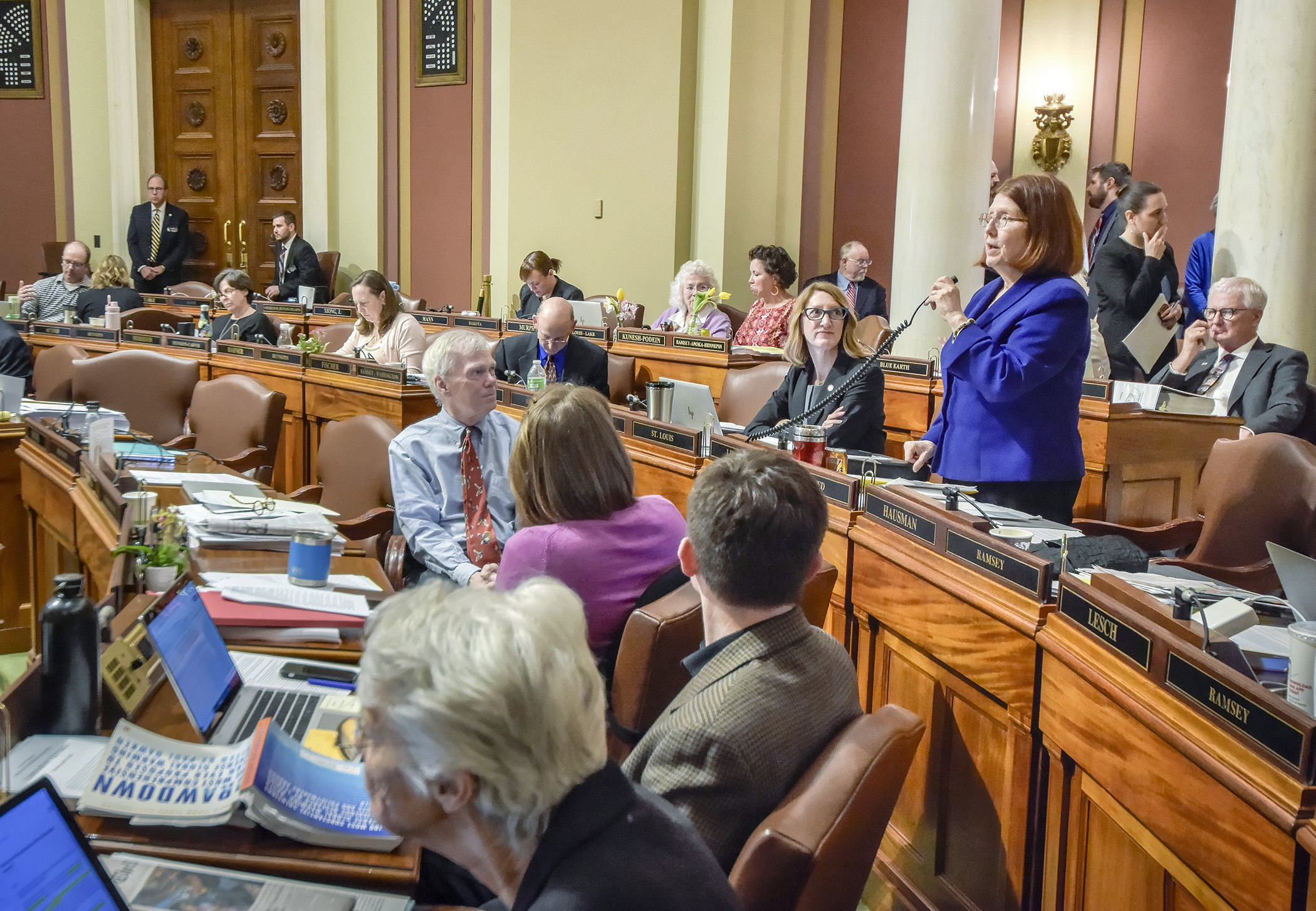 Rep. Tina Liebling, chair of the House Health and Human Services Finance Division, presents the omnibus health and human services finance bill on the House Floor April 25. Photo by Andrew VonBank